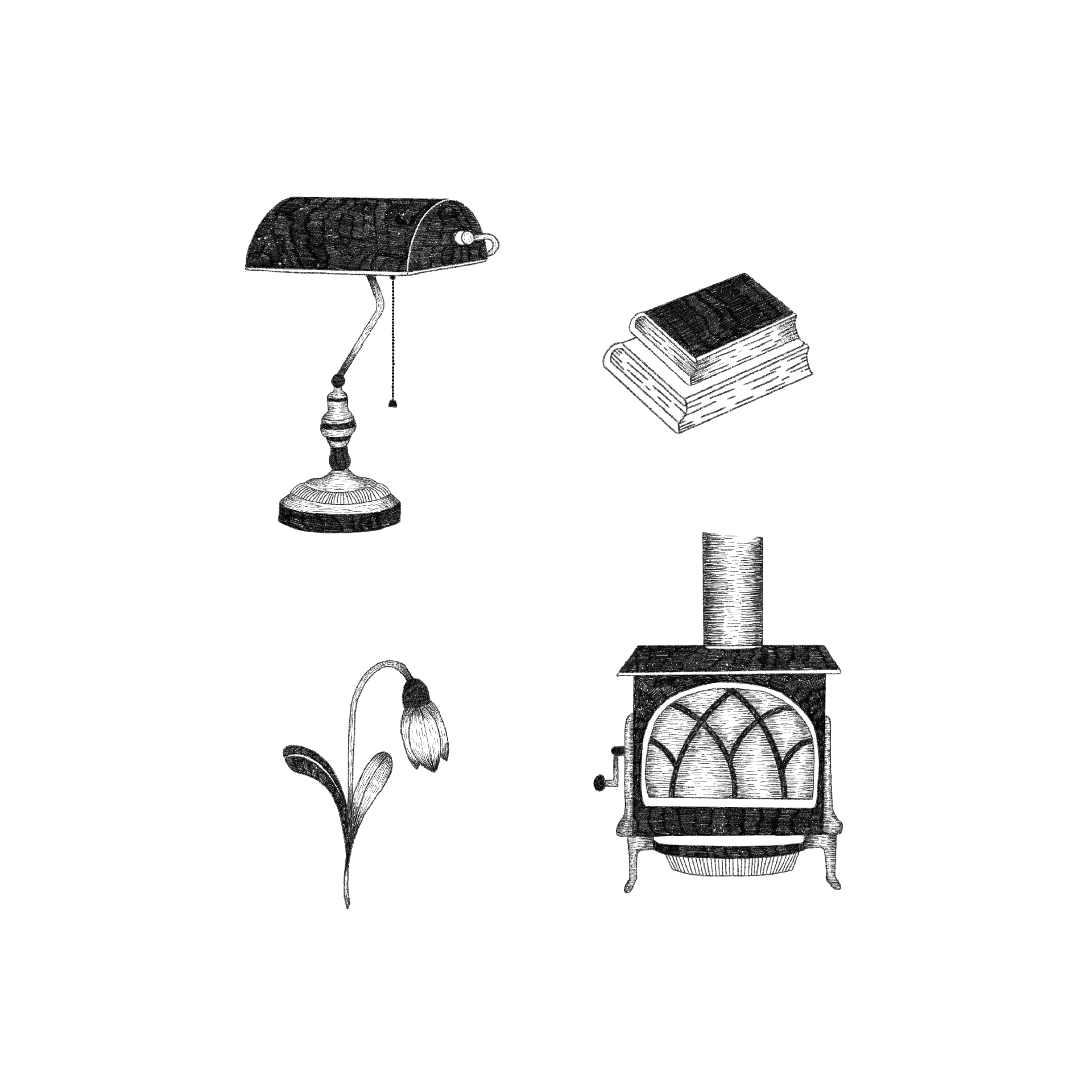 illustration couleurs fleurs avec du vert, rose et du rouge